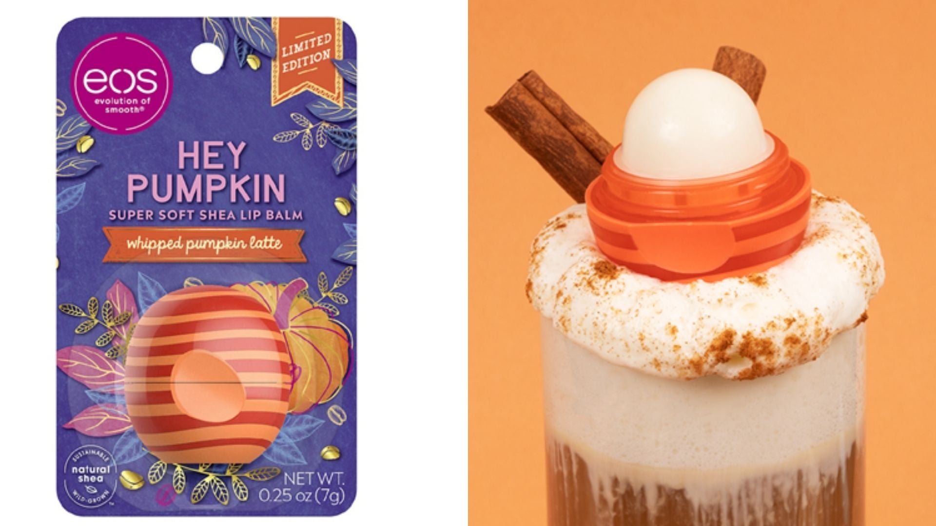 skincare, ingredients, photos, trends, reviews, 2020, 2021, eos, lip balm, hey pumpkin, whipped pumpkin latte, super soft shea lip balm, best drugstore lip balms, best fall skincare products