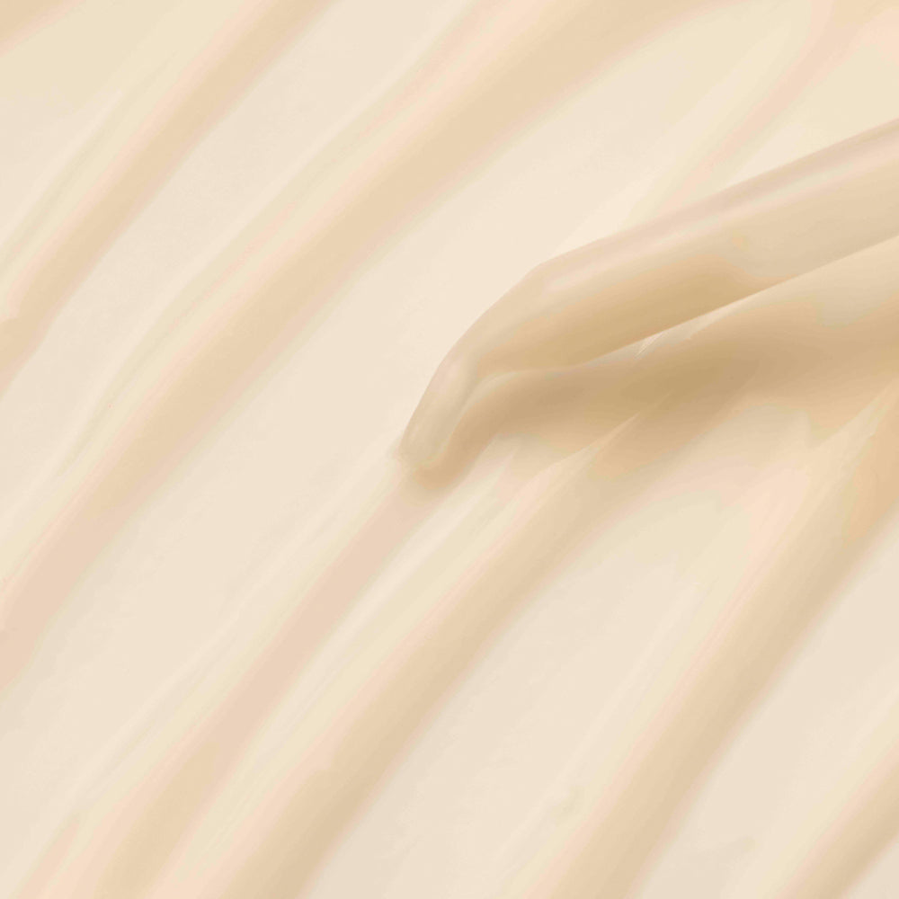 A single green leaf against a white background.
