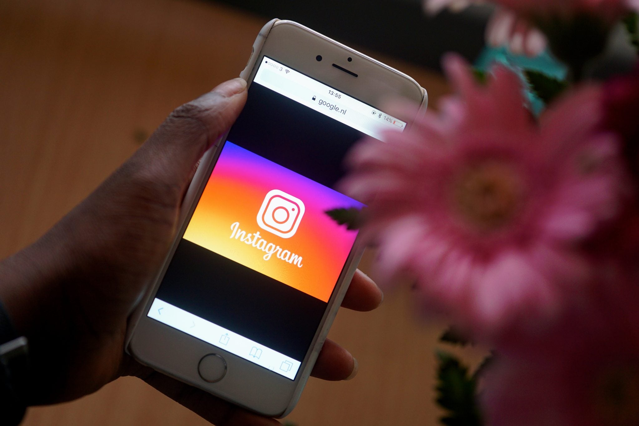 Organic Instagram Growth Case Studies: How To Grow, Increase Targeted Following & Engagement on Your Instagram Page 2018, 2019 Accounts