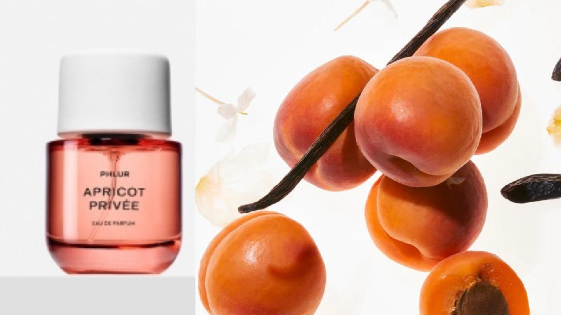 review, photos, ingredients, trends, 2022, 2023, phlur, apricot privee, best new summer fragrances, best summer perfumes, sephora, apricot, plum, cardamom
