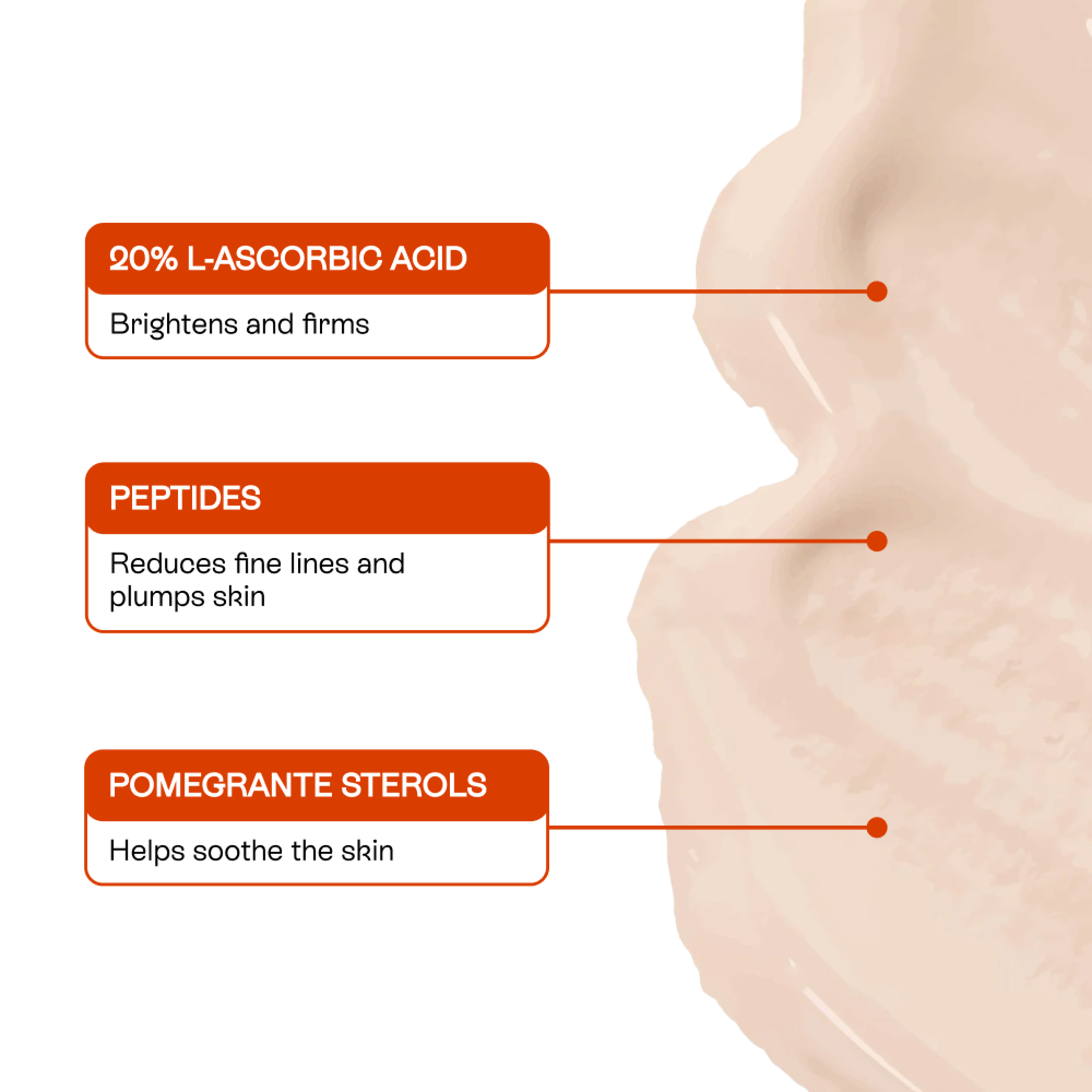 Universal C Skin Refiner